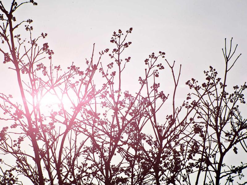 sudoku tablet version screenshot 2