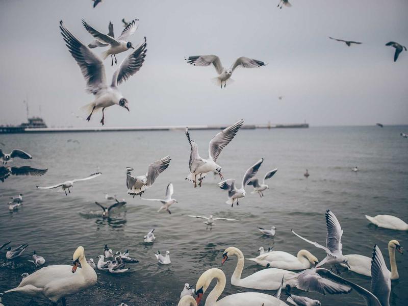 sudoku problem solving